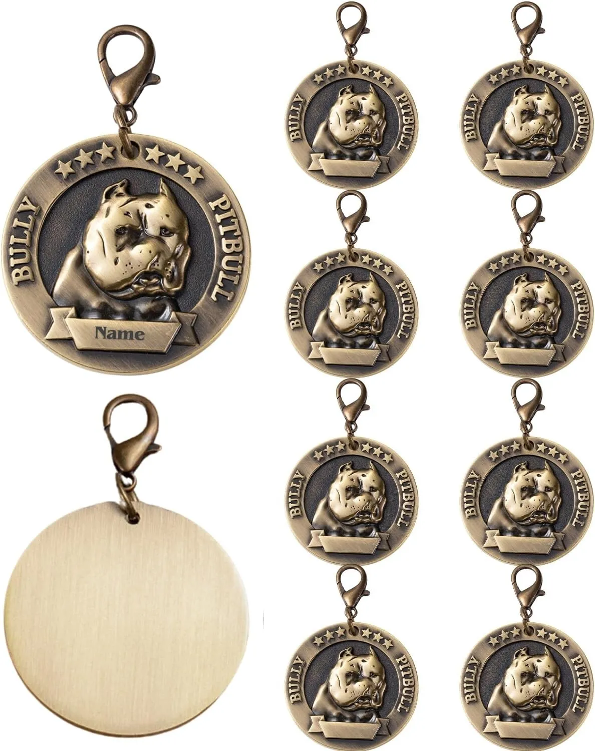 10  3D  ID  placas para Perros ()