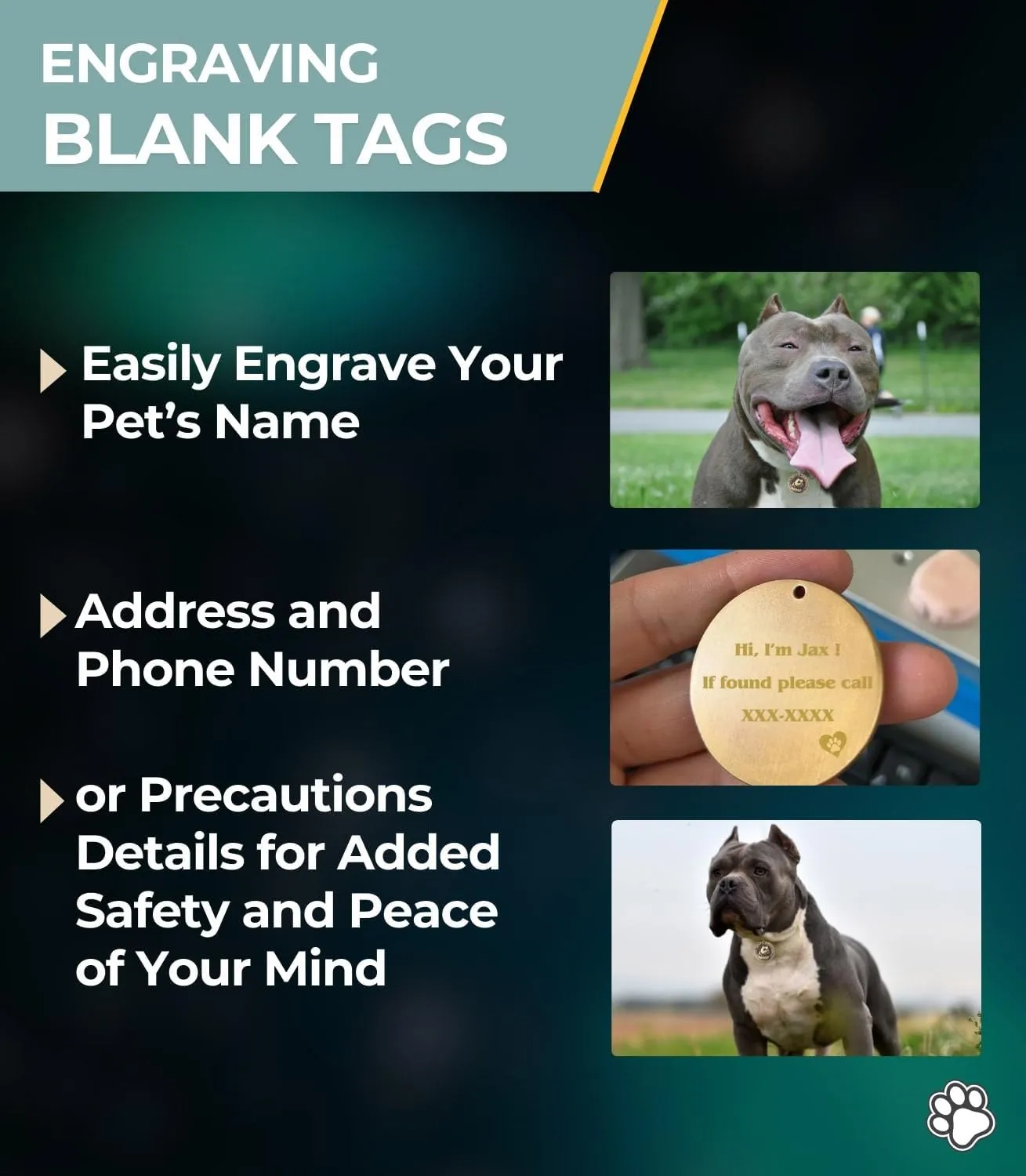 10  3D  ID  placas para Perros ()