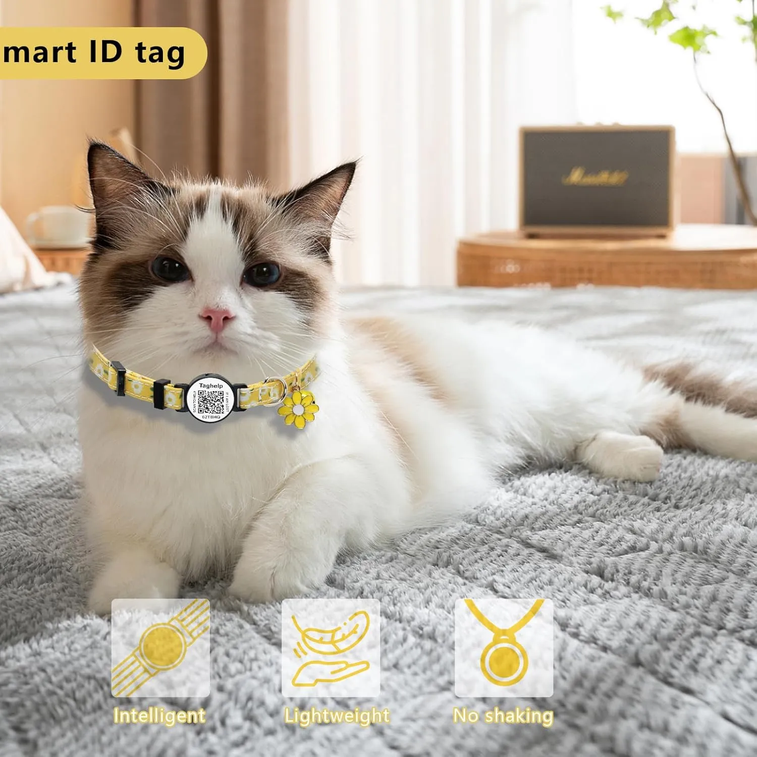 2 , ID ,,, QR ID ,8-13 ()