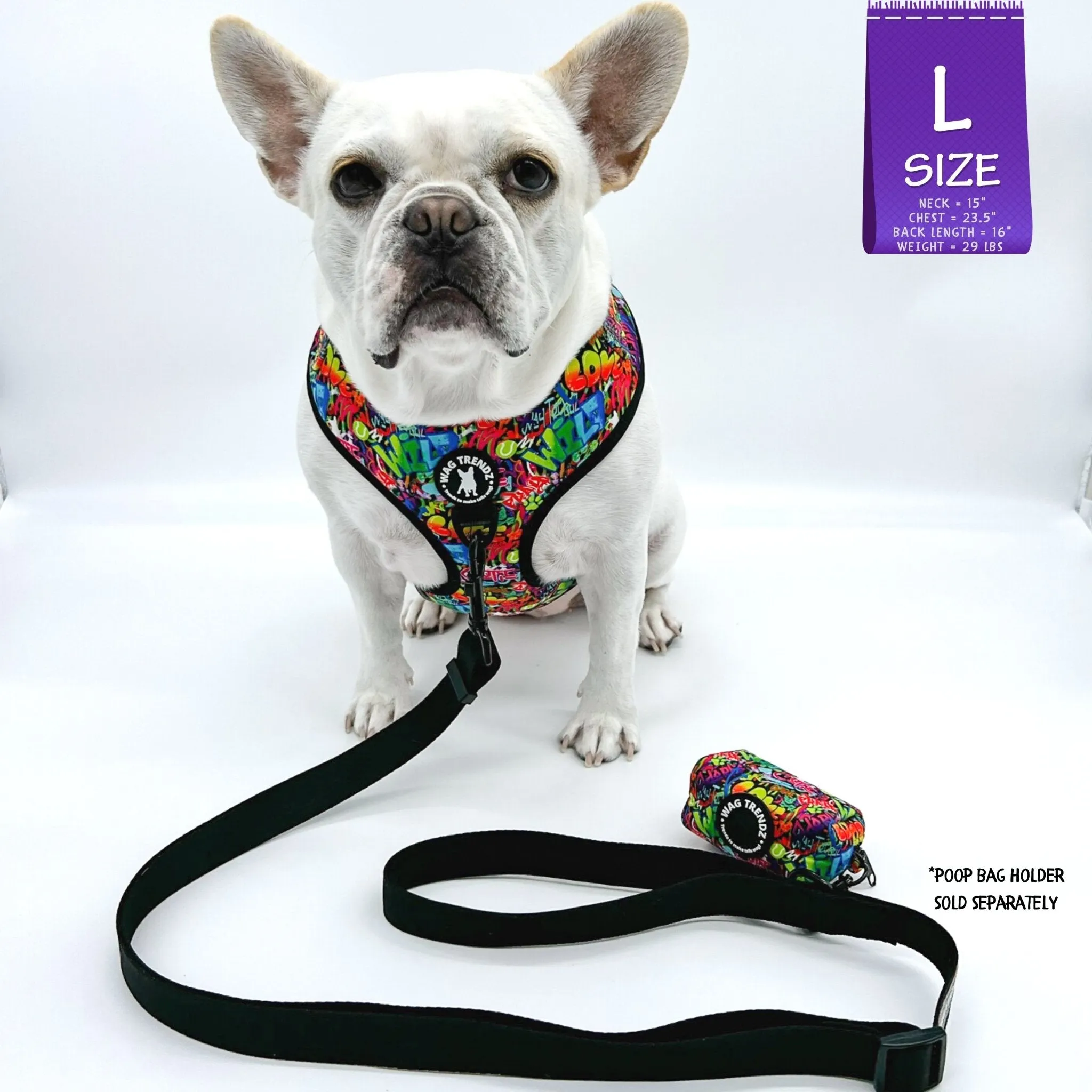 Adjustable Dog Leash | Solid Black