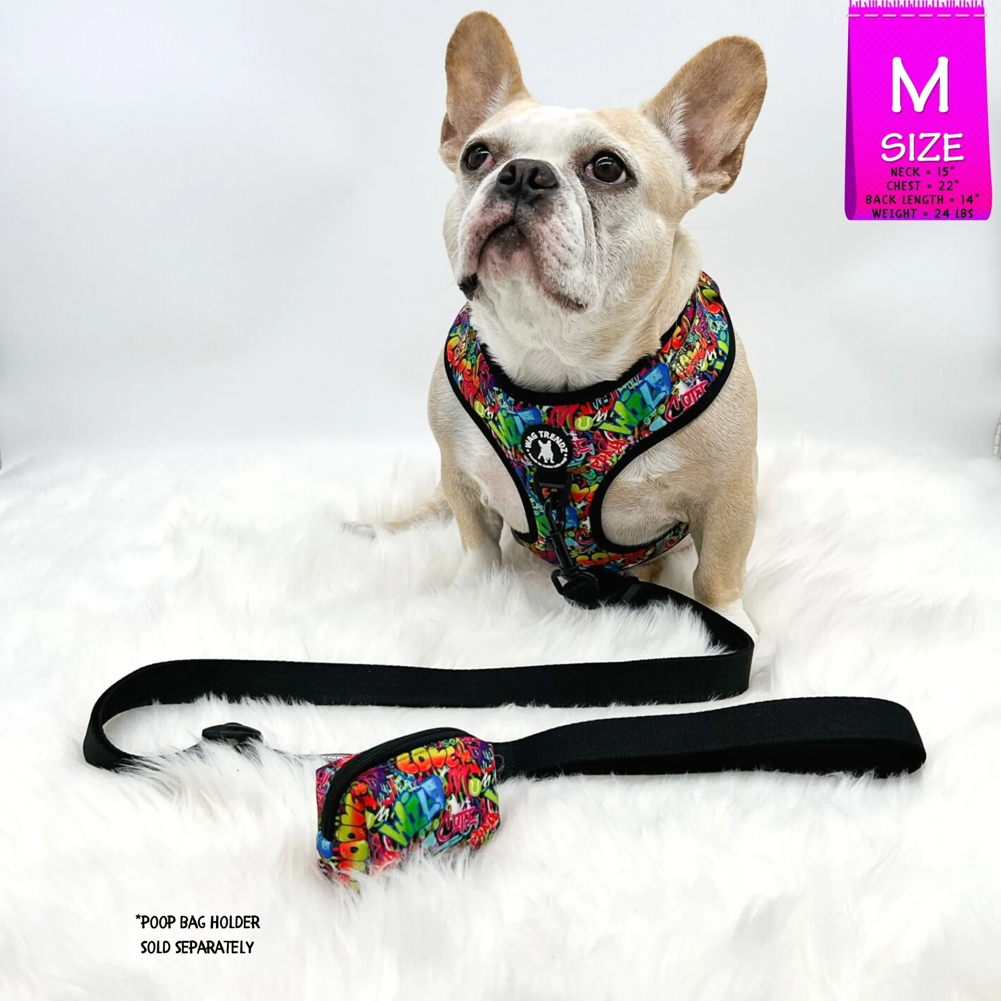 Adjustable Dog Leash | Solid Black