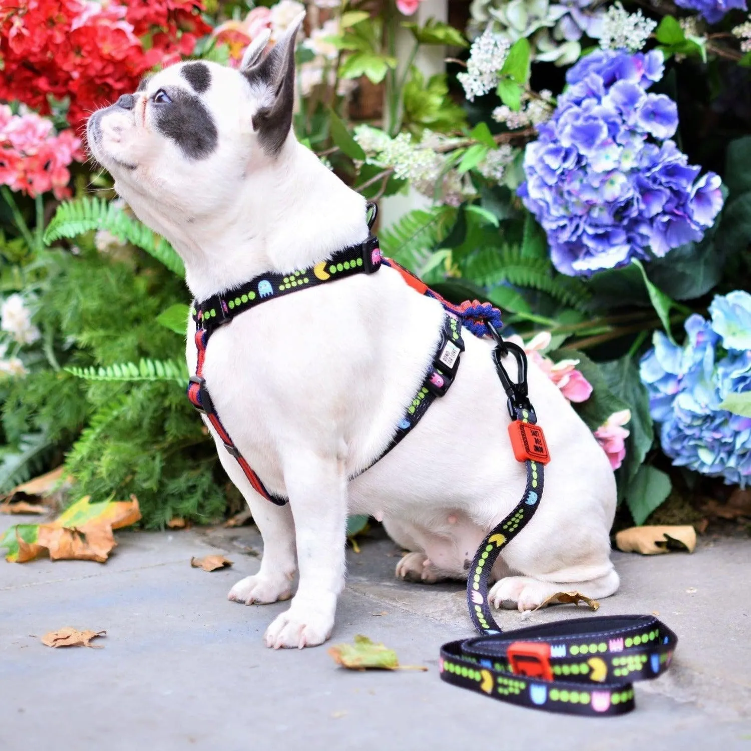 Adjustable Dog Strap Harness - Pac Man