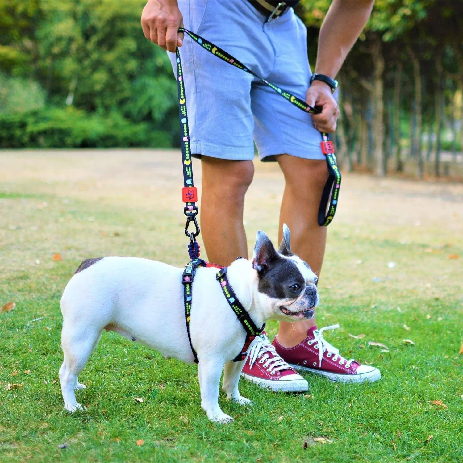Adjustable Dog Strap Harness - Pac Man