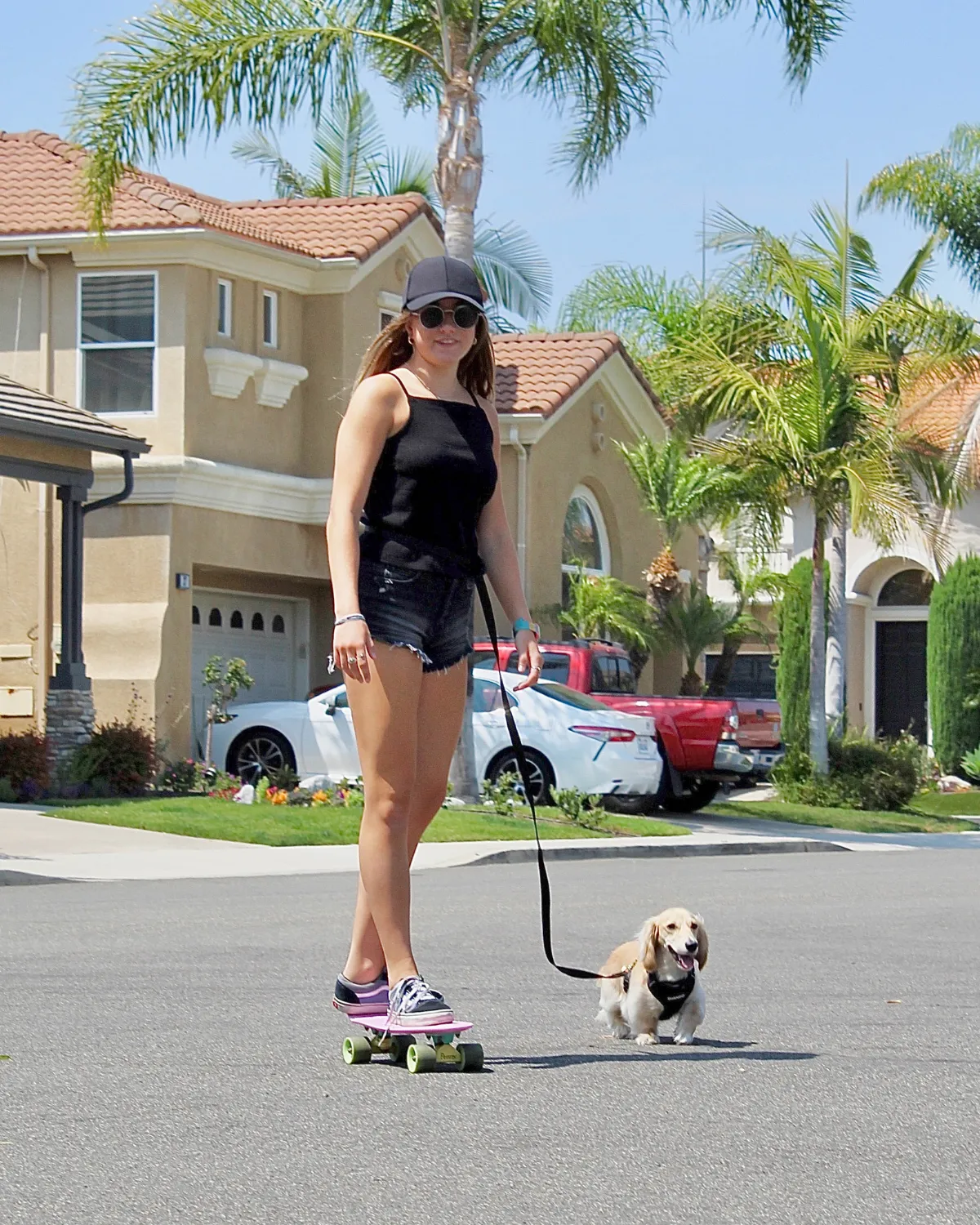 Adjustable Hands-Free Adventure Dog Leash - Forest Green