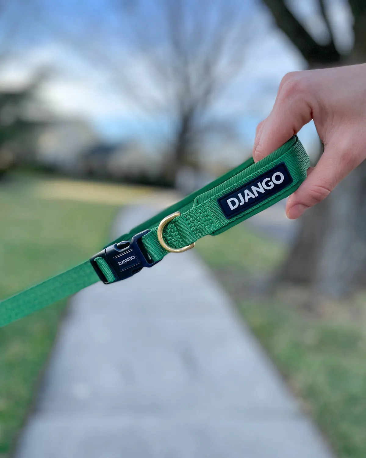 Adjustable Hands-Free Adventure Dog Leash - Forest Green