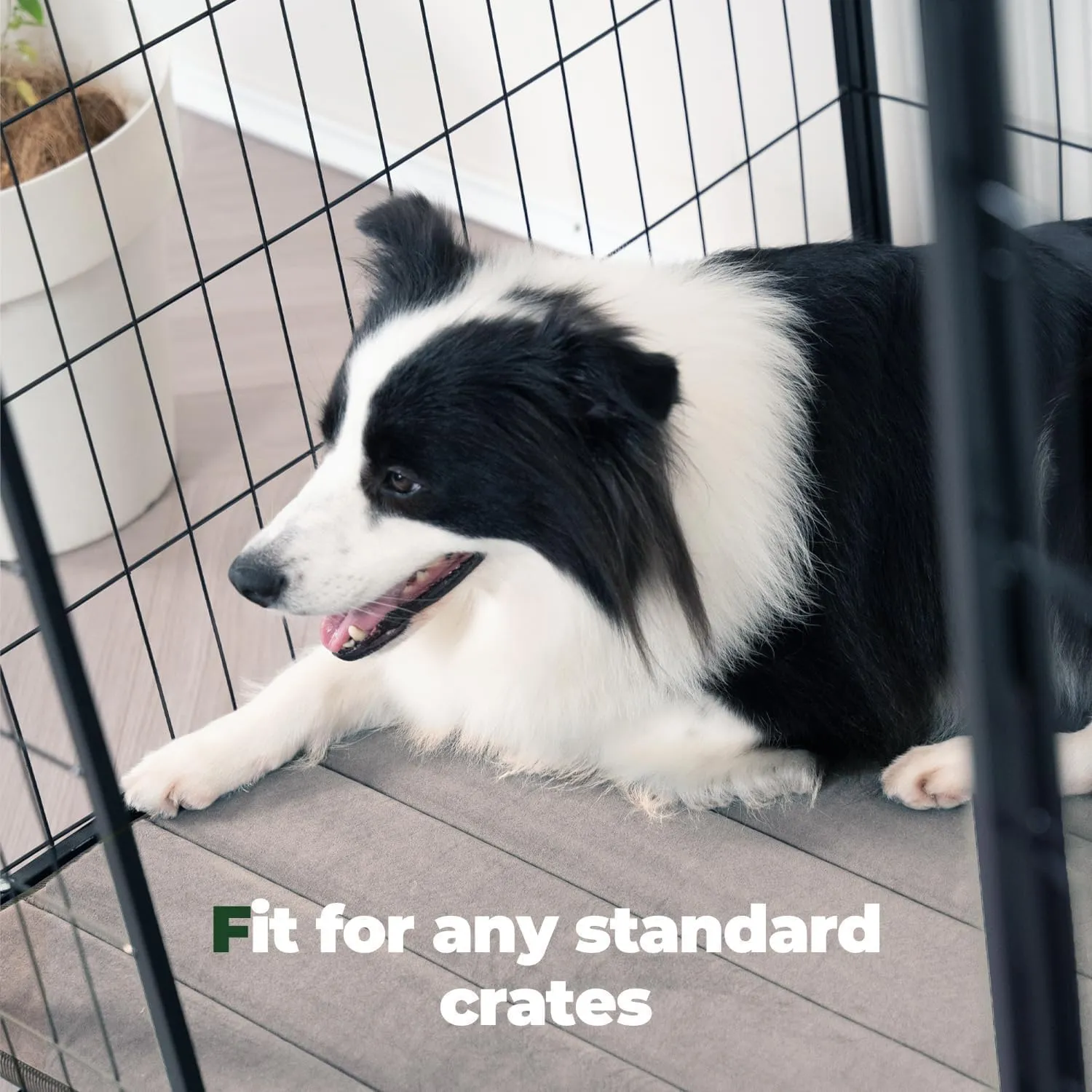 BALANCE Dog Crate Pad, Dog Foam Crate Mat Kennel Pad, Washable Pet Bed Flat Dogs Cage Mat for Large Dogs