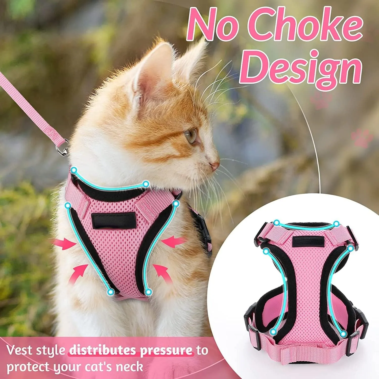 Best Cat Harness and Leash