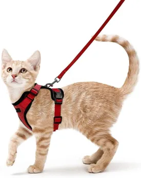 Best Cat Harness and Leash