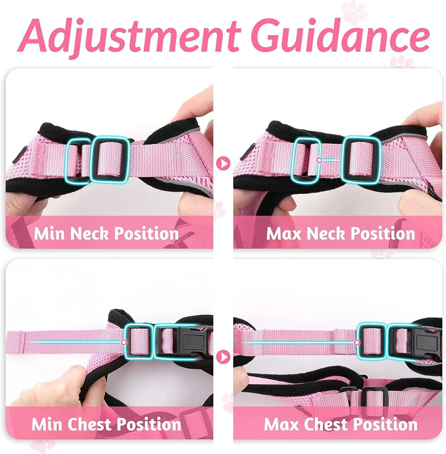 Best Cat Harness and Leash