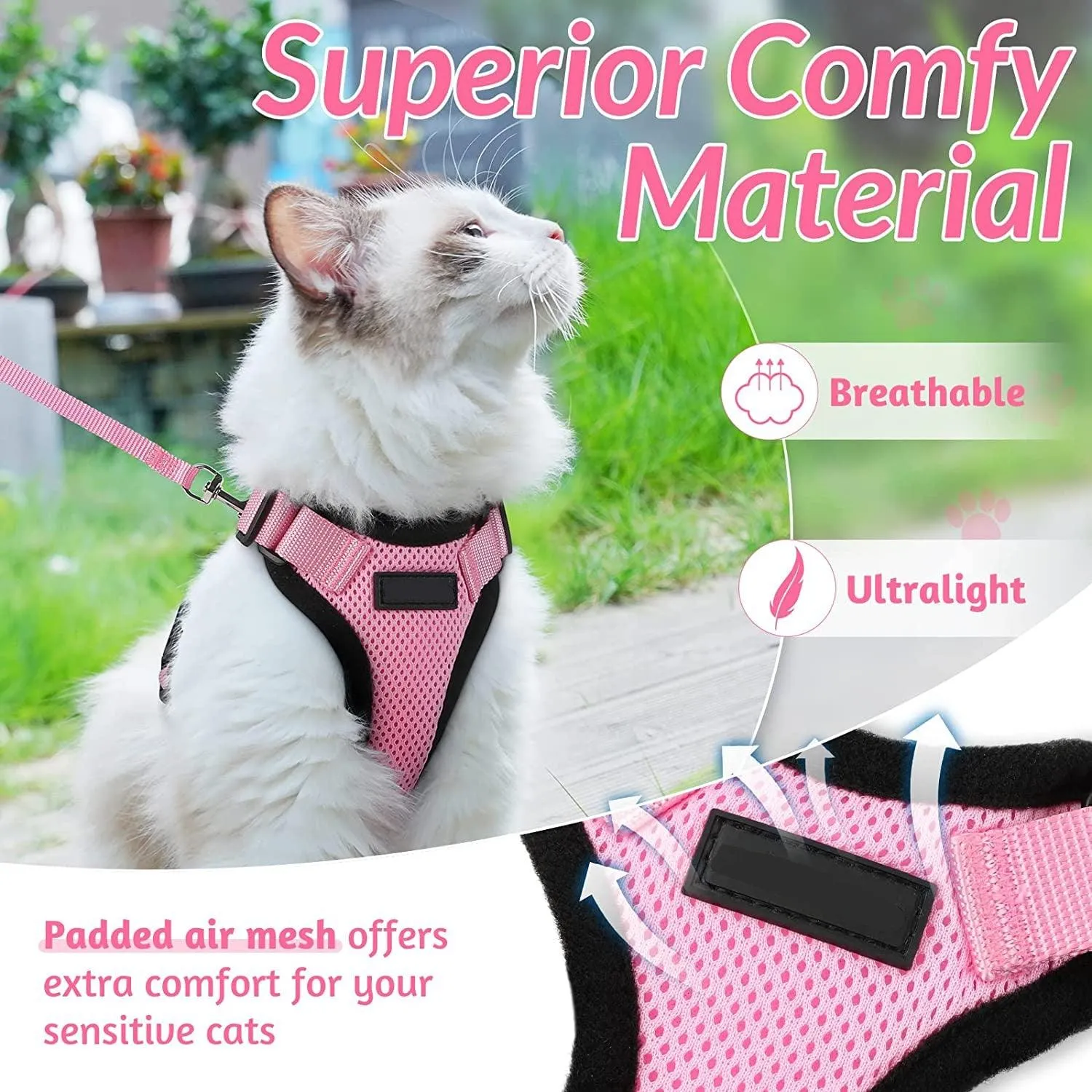 Best Cat Harness and Leash