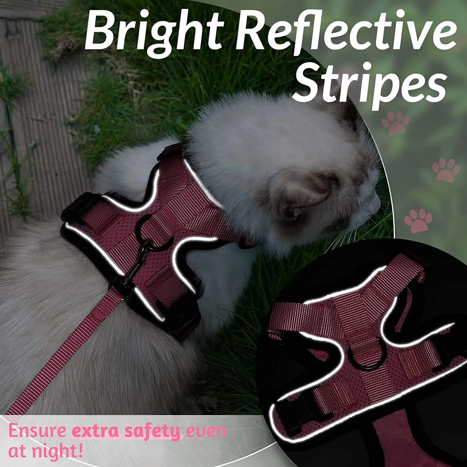 Best Cat Harness and Leash