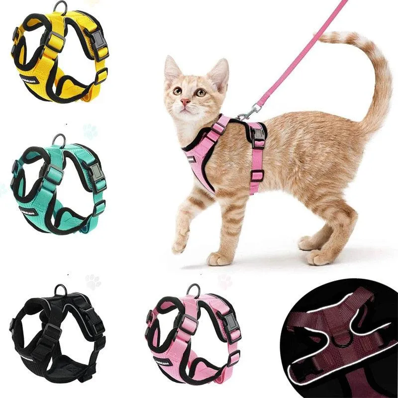 Best Cat Harness and Leash