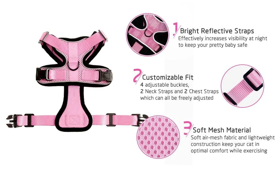 Best Cat Harness and Leash