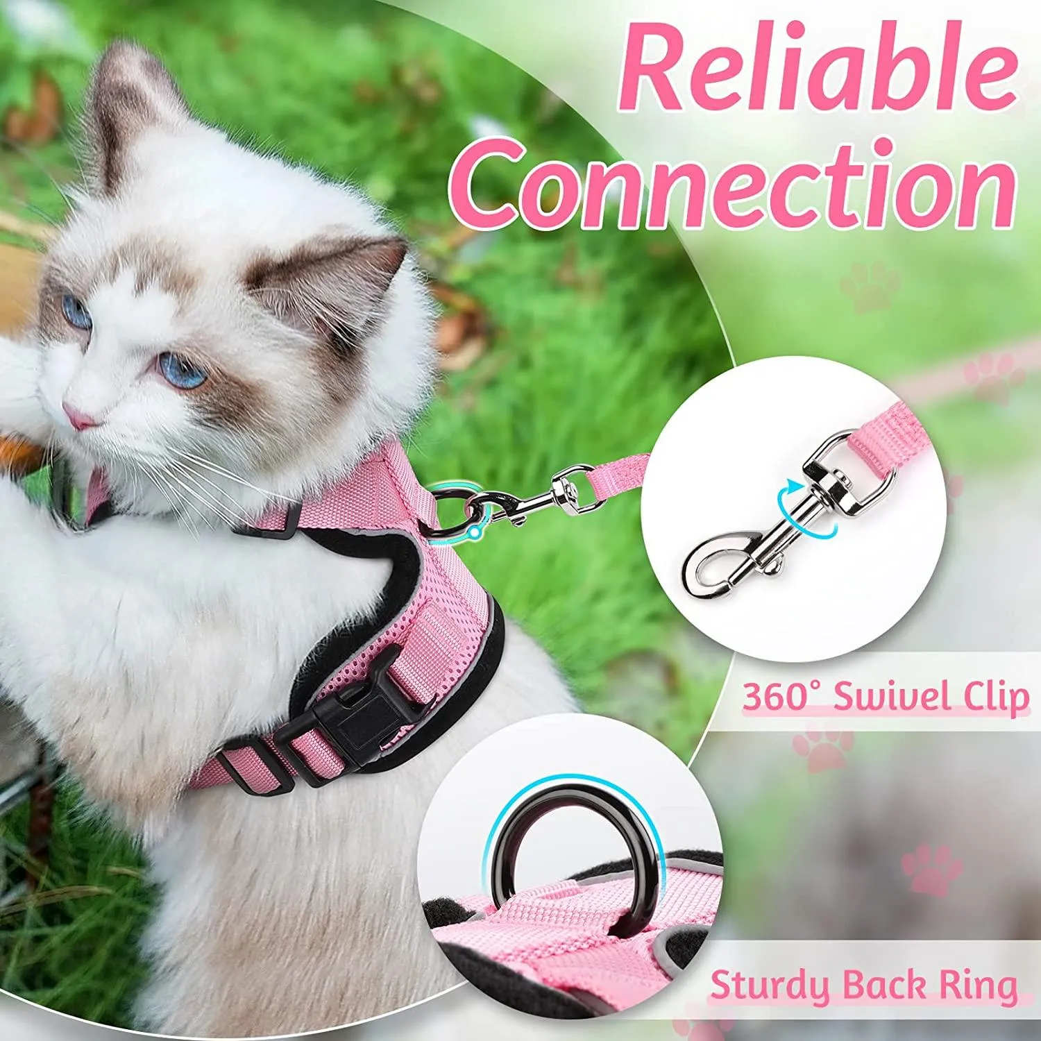 Best Cat Harness and Leash