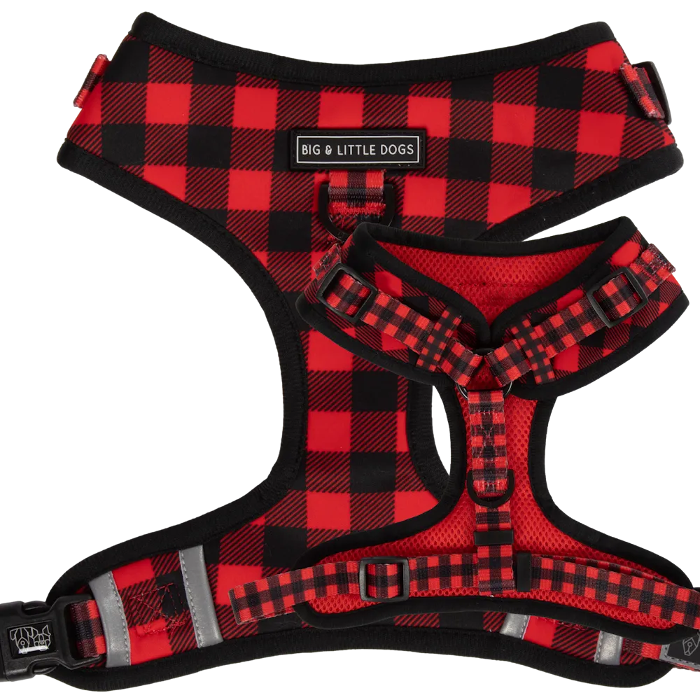 Big & Little Dogs Plaid to the Bone Adjustable Harness