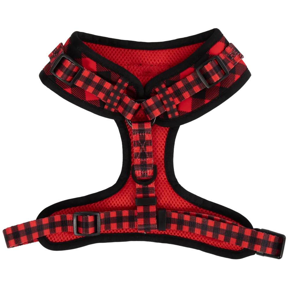 Big & Little Dogs Plaid to the Bone Adjustable Harness