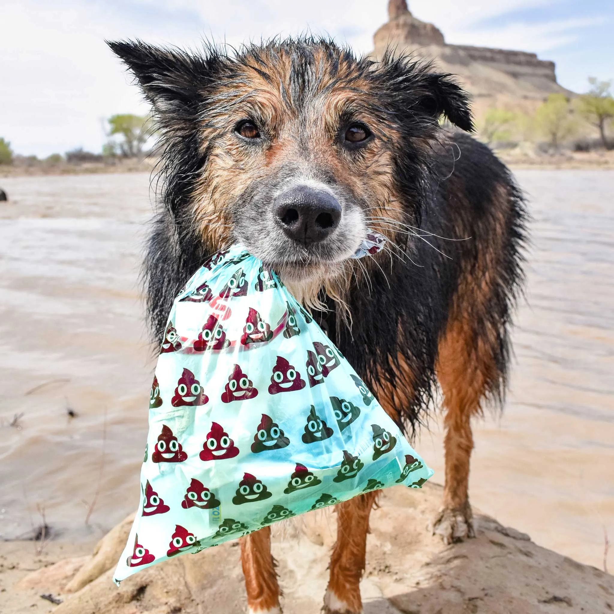 Biodegradable Dog Poop Bags - 3 Pack