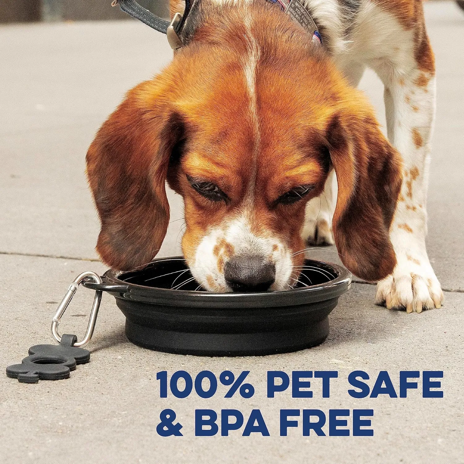 Bonza Large Collapsible Dog Bowl, BPA Free & Foldable, 1000 ml Travel Dog Water Bowl with Carabiner & Bottle Holder Keychain, Sturdy Reinforced Rim
