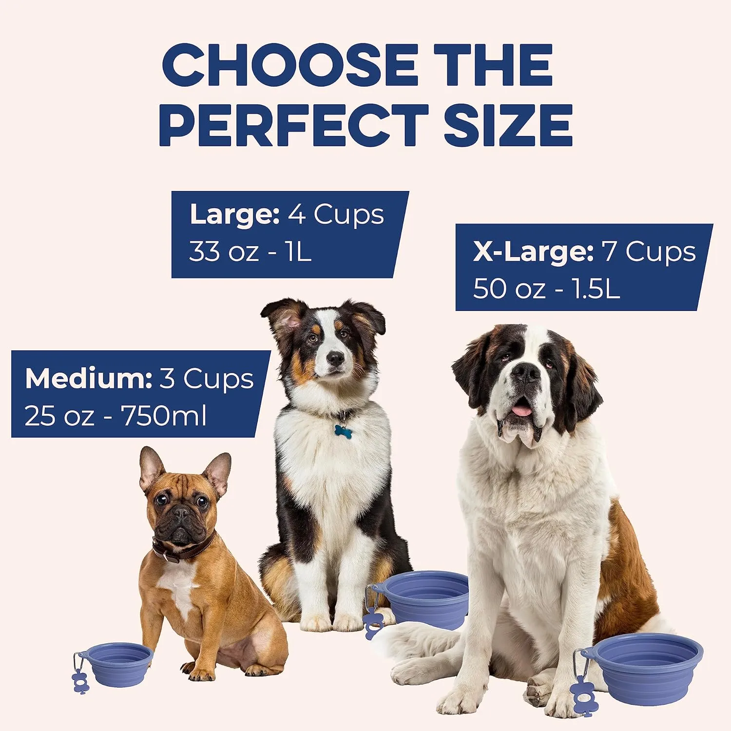 Bonza Large Collapsible Dog Bowl, BPA Free & Foldable, 1000 ml Travel Dog Water Bowl with Carabiner & Bottle Holder Keychain, Sturdy Reinforced Rim