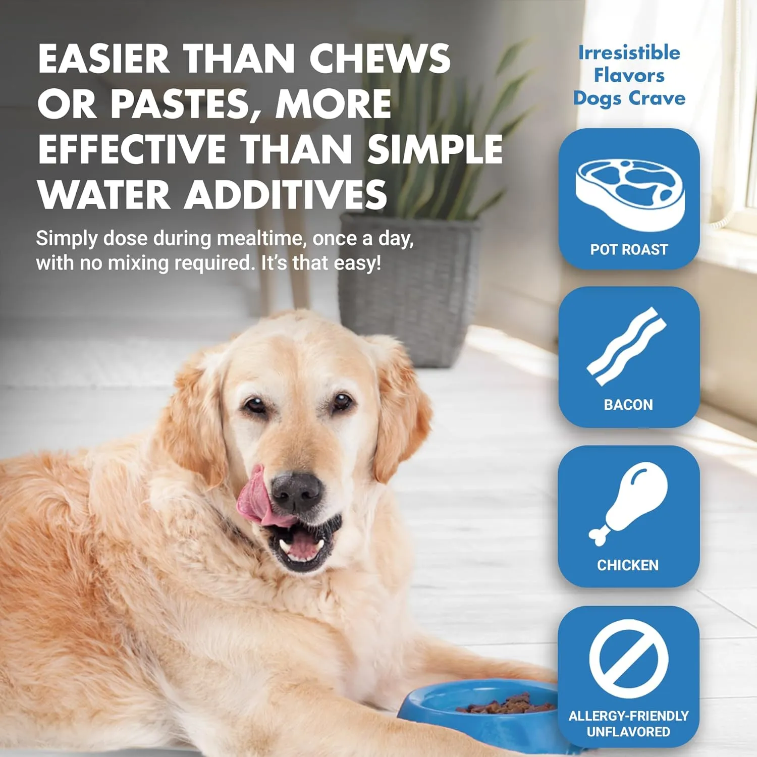 by Cool PET Holistics K9 Teeth & Gums Advanced Formula, Chicken Flavor, 8 oz BOGO Trial Pack, Clear