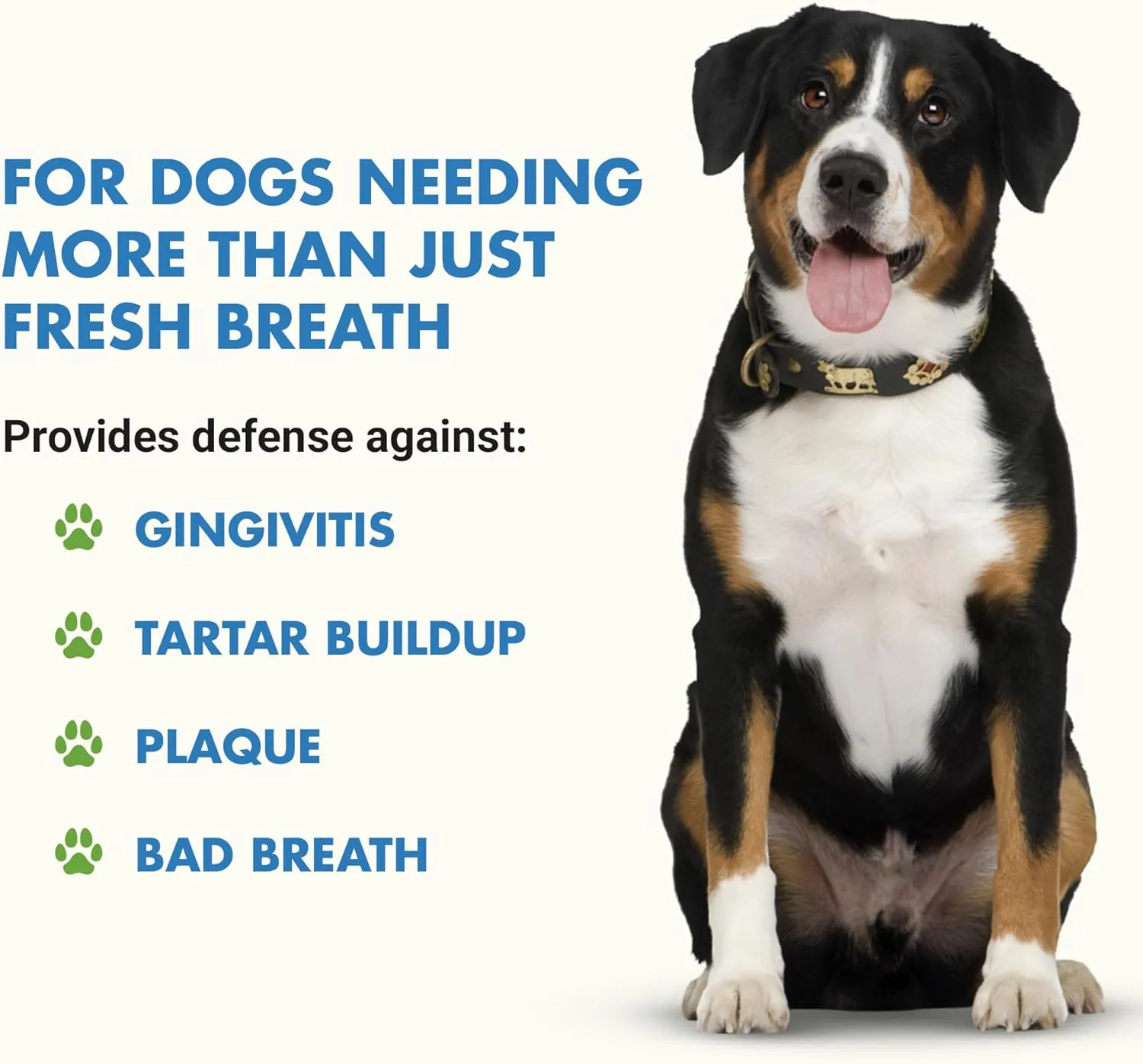 by Cool PET Holistics K9 Teeth & Gums Advanced Formula, Chicken Flavor, 8 oz BOGO Trial Pack, Clear