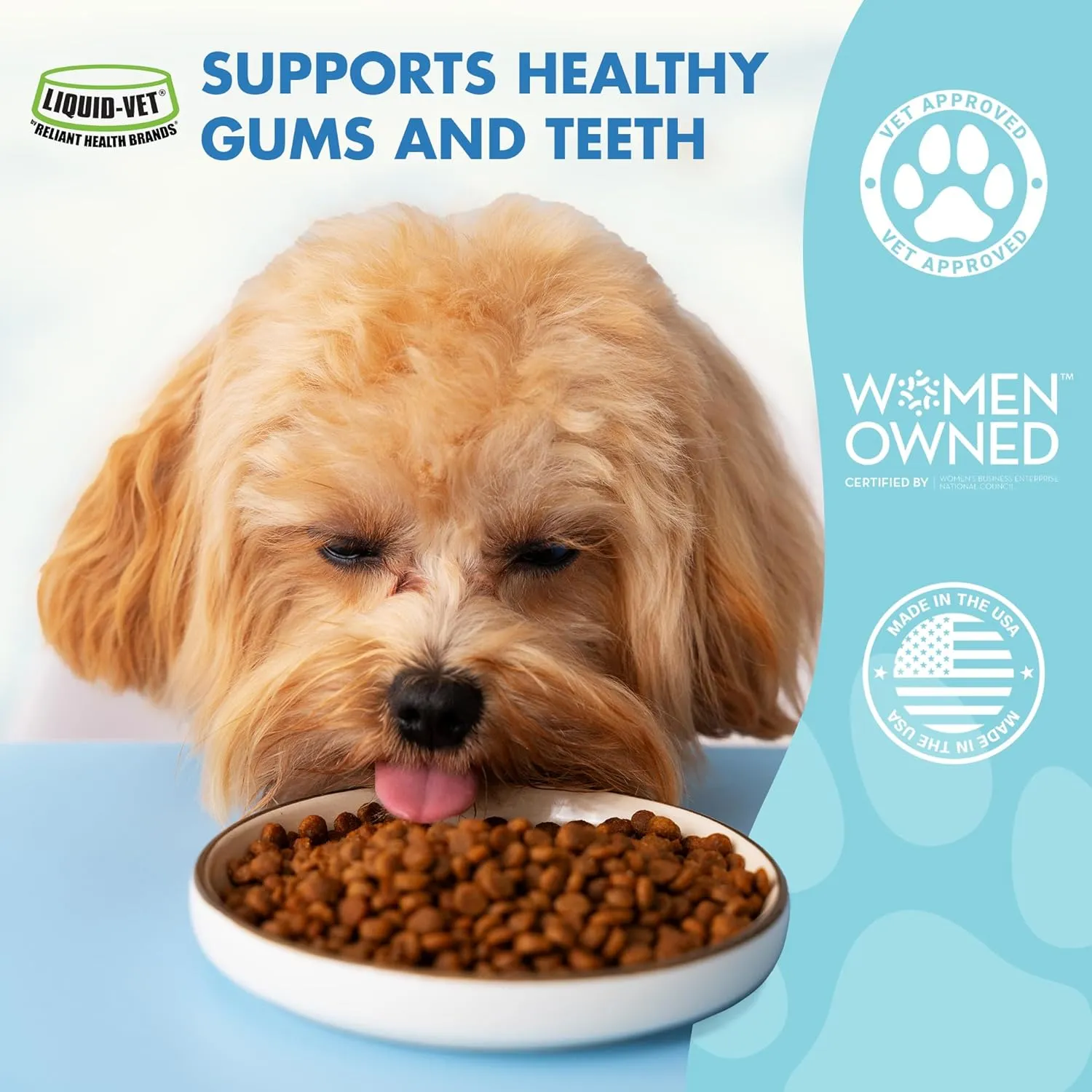 by Cool PET Holistics K9 Teeth & Gums Advanced Formula, Chicken Flavor, 8 oz BOGO Trial Pack, Clear