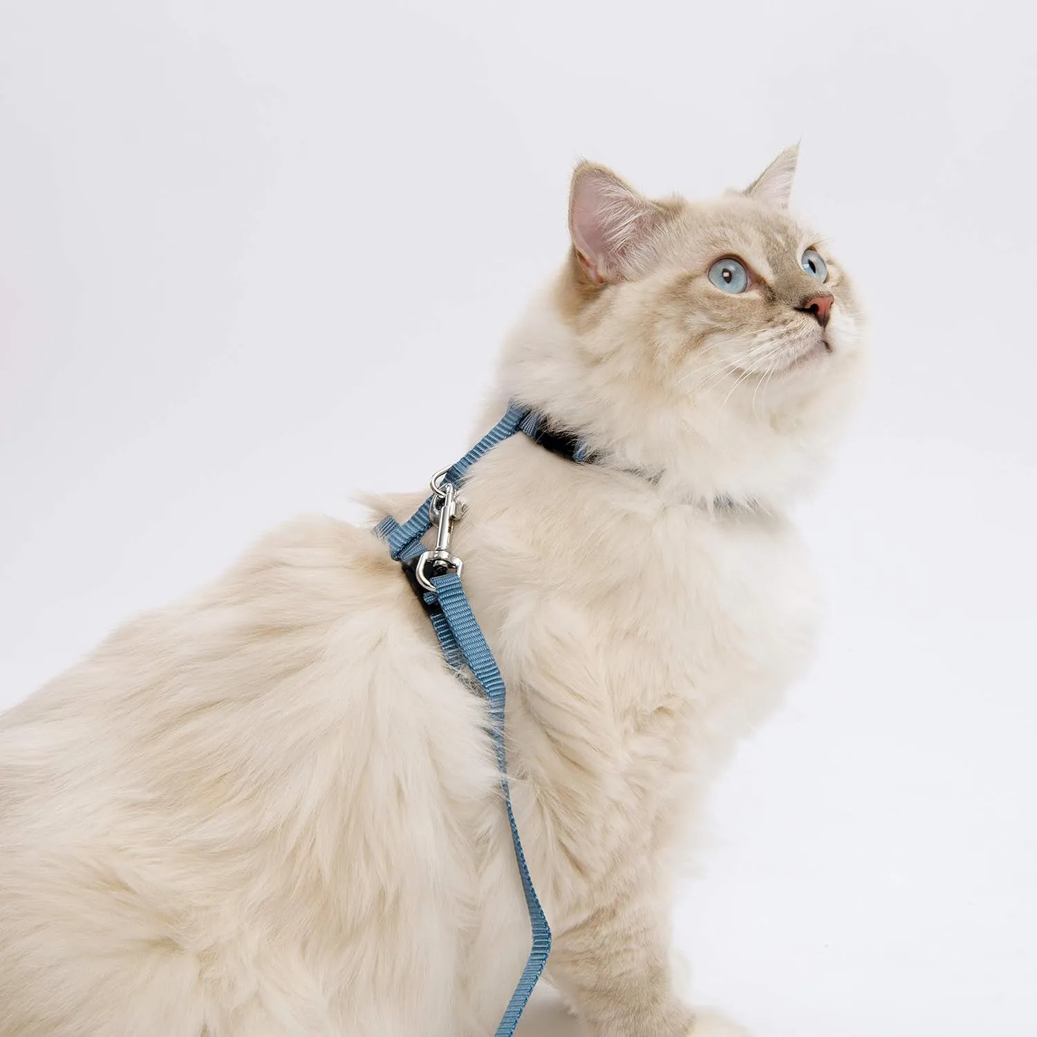 Catit Adjustable Nylon Harness & Leash Set - Black SALE