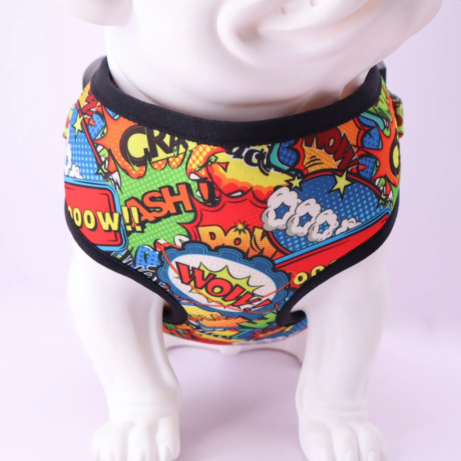 Crash Design Dog Harness Leash and Poop Bag Set