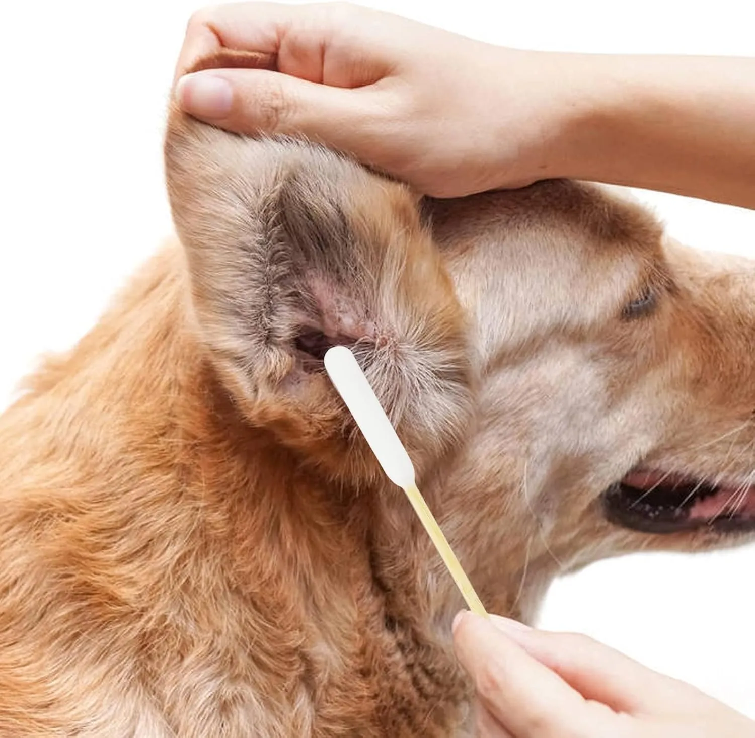 Dog Ear Cleaner Q Tips, 200pcs, 6 Inch Long Cotton Swabs for Dogs - Biodegradable Ear Cleaning Swabs for Pet Ear Infection Treatment and Wax Removal