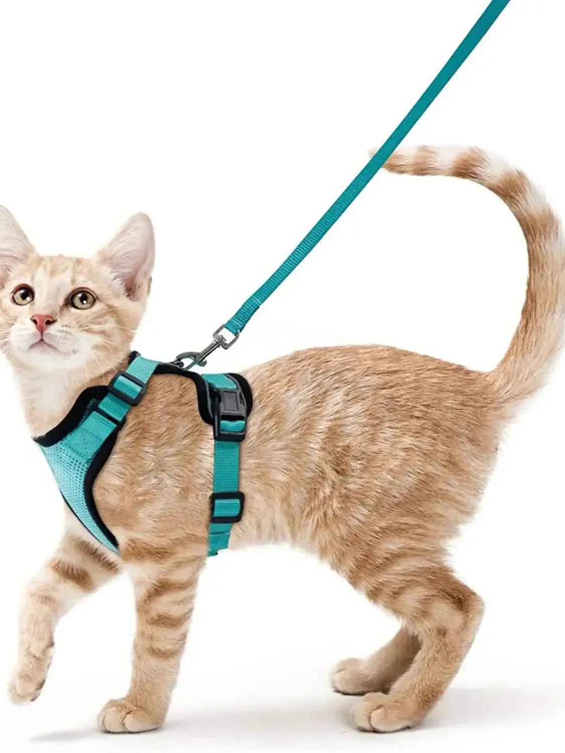 Escape-Proof Cat Harness and Leash – Soft Adjustable Vest for Walking