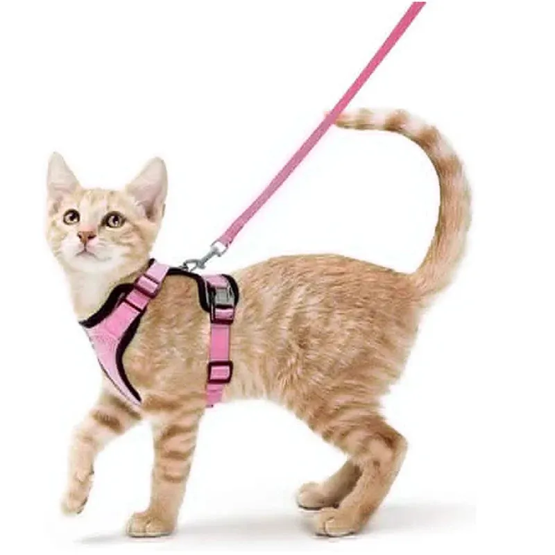 Escape-Proof Cat Harness and Leash – Soft Adjustable Vest for Walking