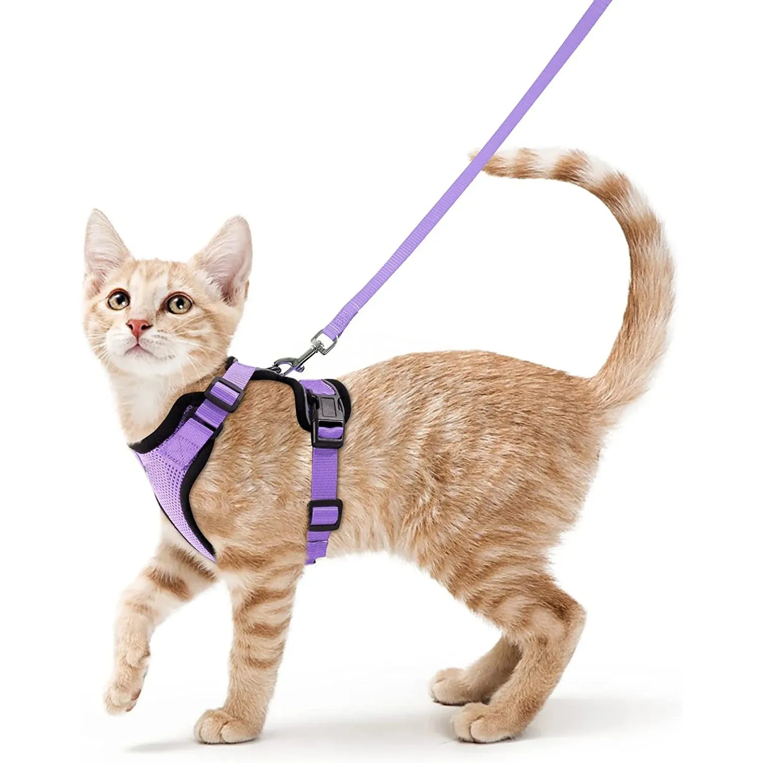 Escape-Proof Cat Harness and Leash – Soft Adjustable Vest for Walking