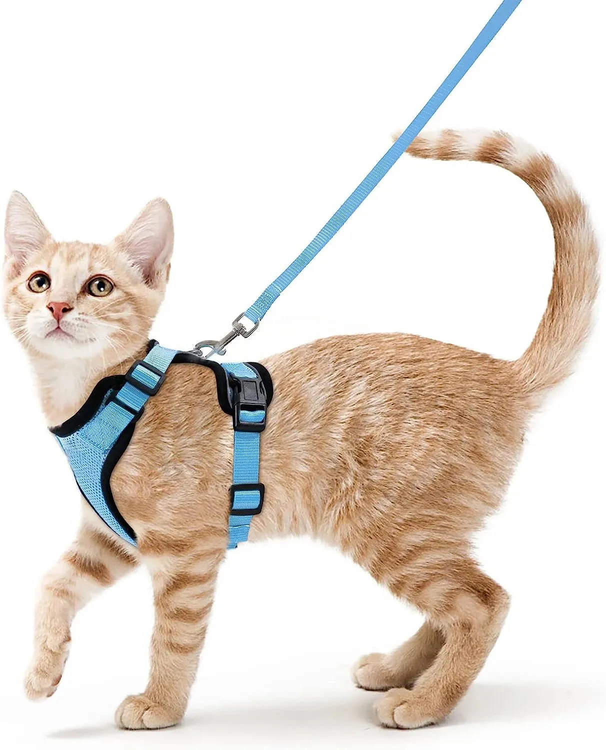 Escape-Proof Cat Harness and Leash – Soft Adjustable Vest for Walking