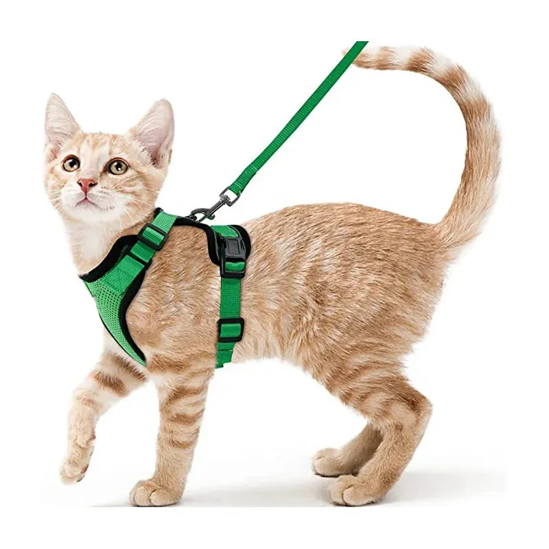 Escape-Proof Cat Harness and Leash – Soft Adjustable Vest for Walking