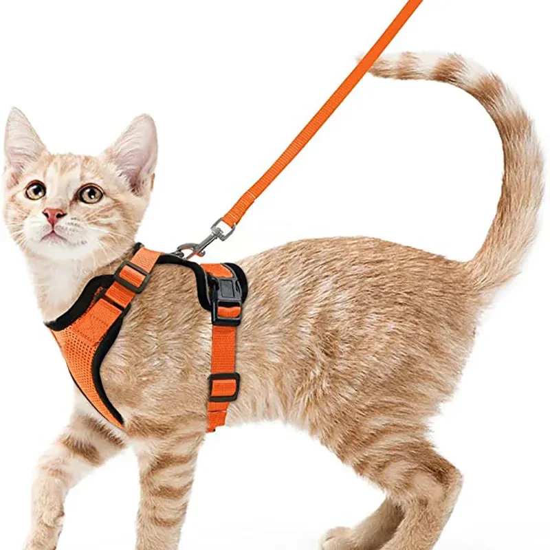 Escape-Proof Cat Harness and Leash – Soft Adjustable Vest for Walking