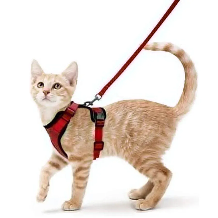 Escape-Proof Cat Harness and Leash – Soft Adjustable Vest for Walking