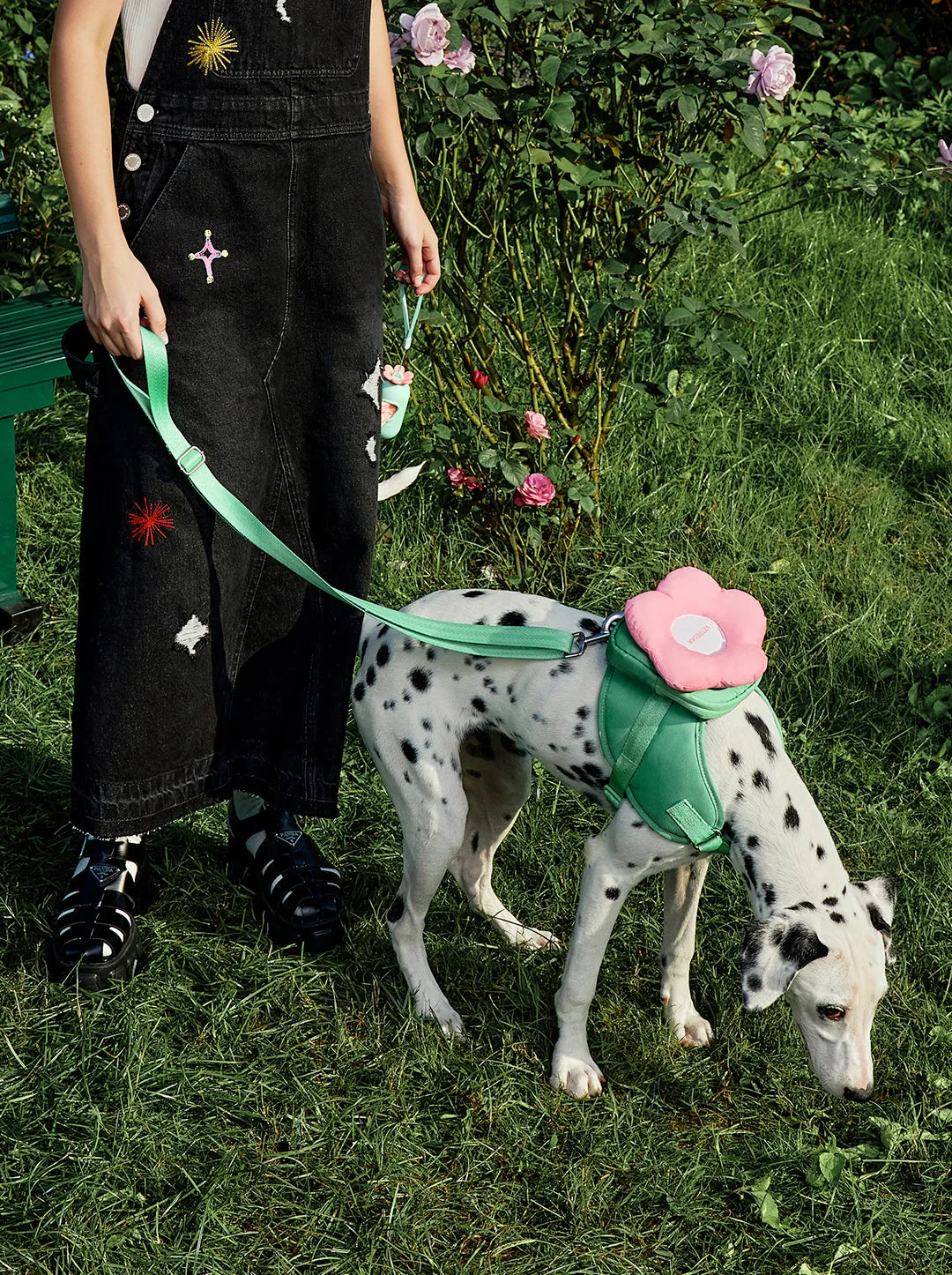 Flora Pet Walk Kit (Harness, Backpack, Leash 3 in 1 & Poop Bag Dispenser)
