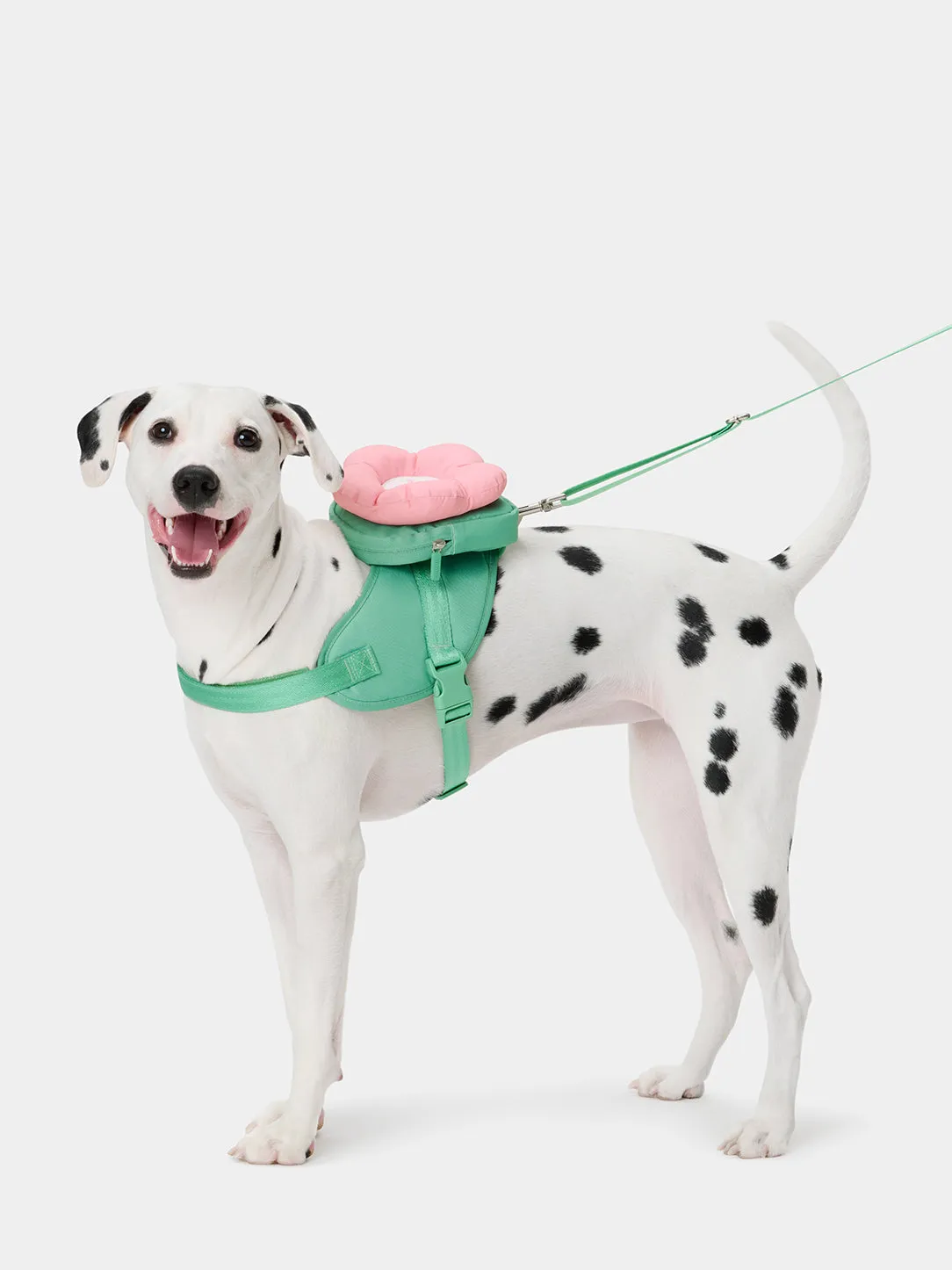 Flora Pet Walk Kit (Harness, Backpack, Leash 3 in 1 & Poop Bag Dispenser)
