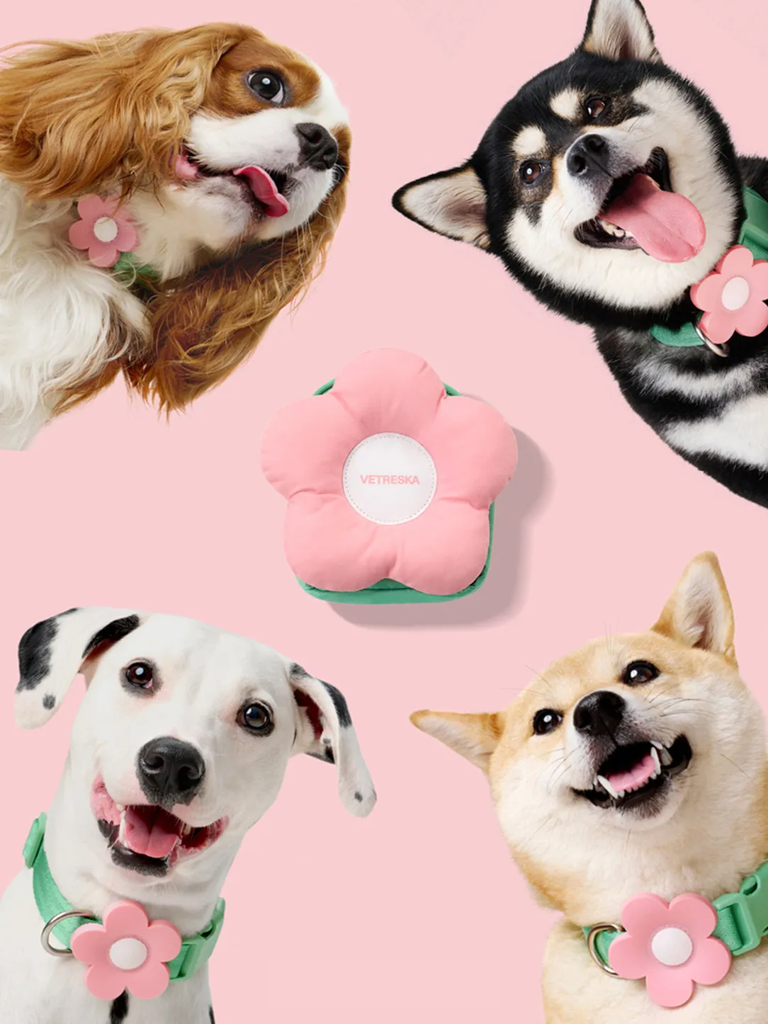 Flora Pet Walk Kit (Harness, Backpack, Leash 3 in 1 & Poop Bag Dispenser)