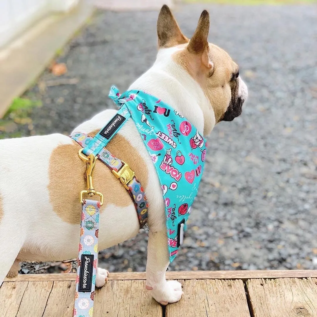 Frenchiestore Adjustable Pet Health Strap Harness | Mint StarPup