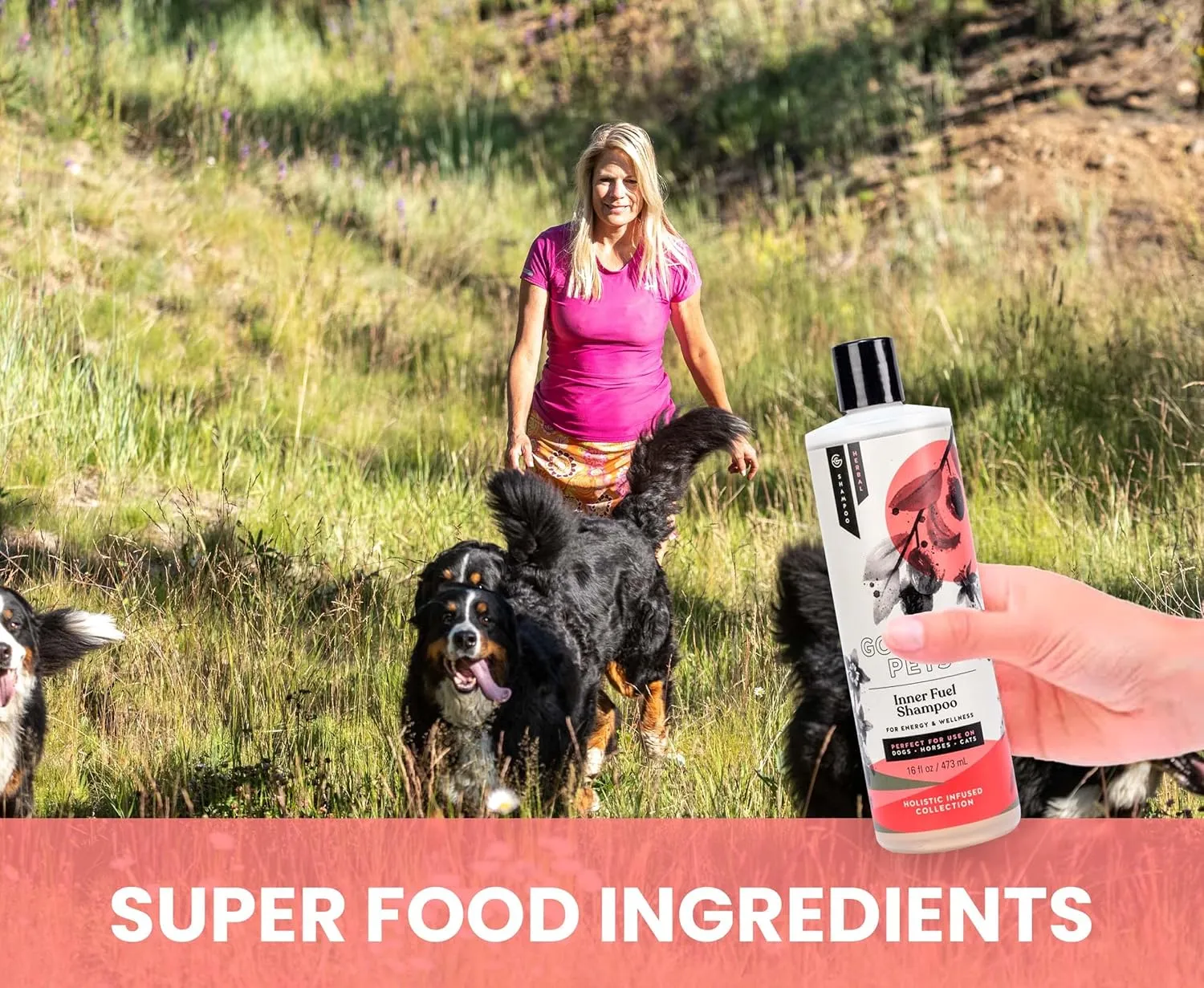 Holistic Natural Derived Goji Berry & Jujube Pet Shampoo: Veterinarian Recommended - Energy & Wellness for Your Dog, Cat and Horse Coat - Made in USA - 16 oz