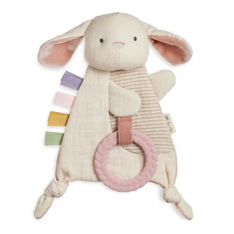 Itzy Ritzy Bitzy Crinkle Sensory Toy