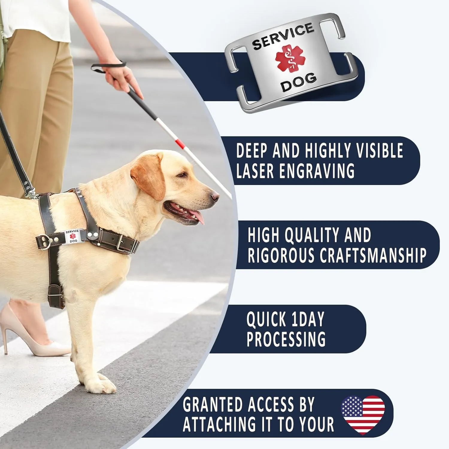 K9  ID ,  PVD /