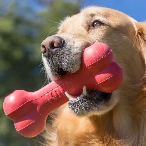 KONG Red Rubber Goodie Bone Medium