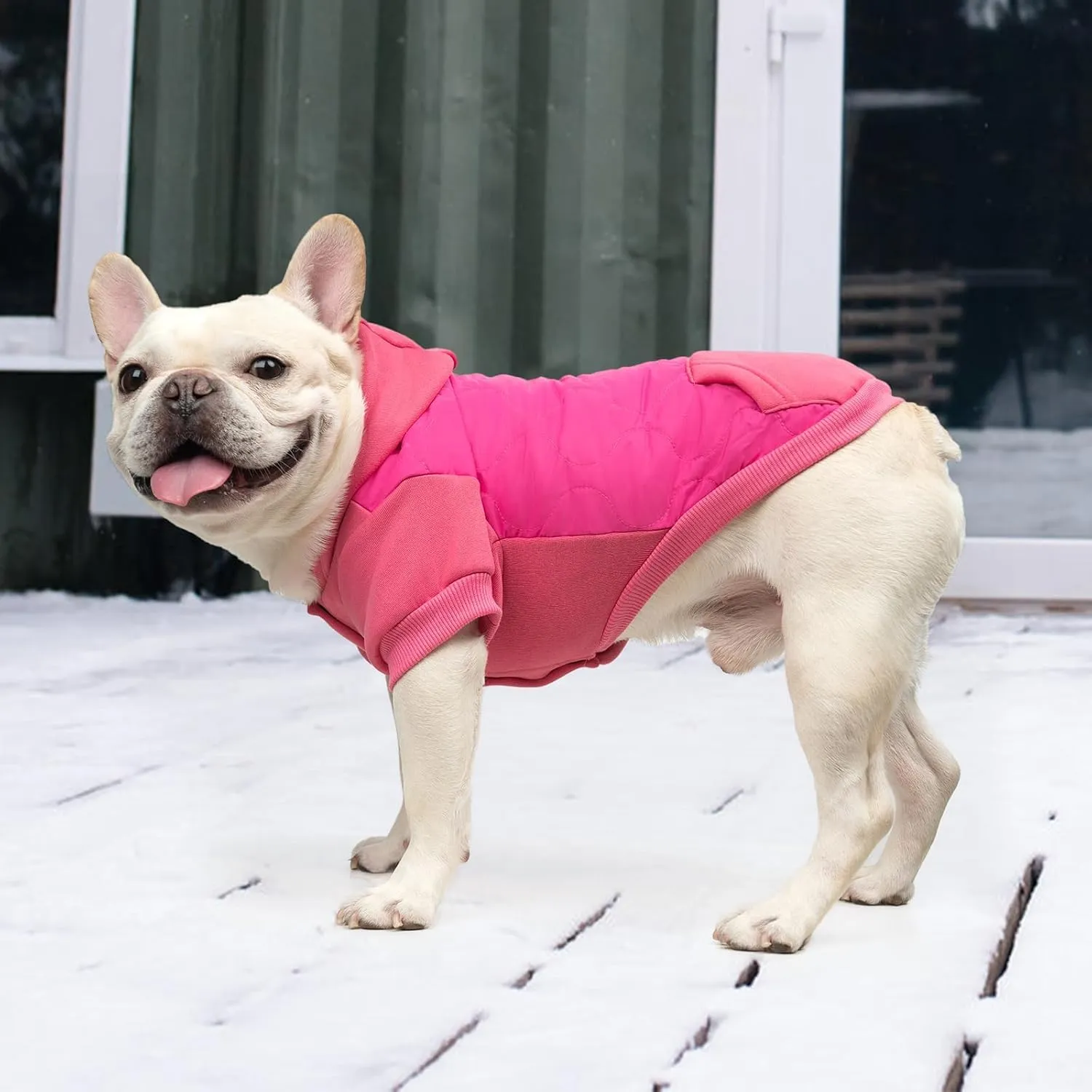 KOOLTAIL Warm Winter Coat for Small Dogs, Waterproof Dog Jacket with Leash Hole, Soft Pet Hoodie Sweater for Puppy Cats Girls Boys, Rose Red S