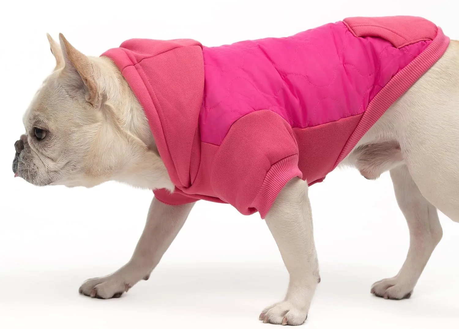 KOOLTAIL Warm Winter Coat for Small Dogs, Waterproof Dog Jacket with Leash Hole, Soft Pet Hoodie Sweater for Puppy Cats Girls Boys, Rose Red S