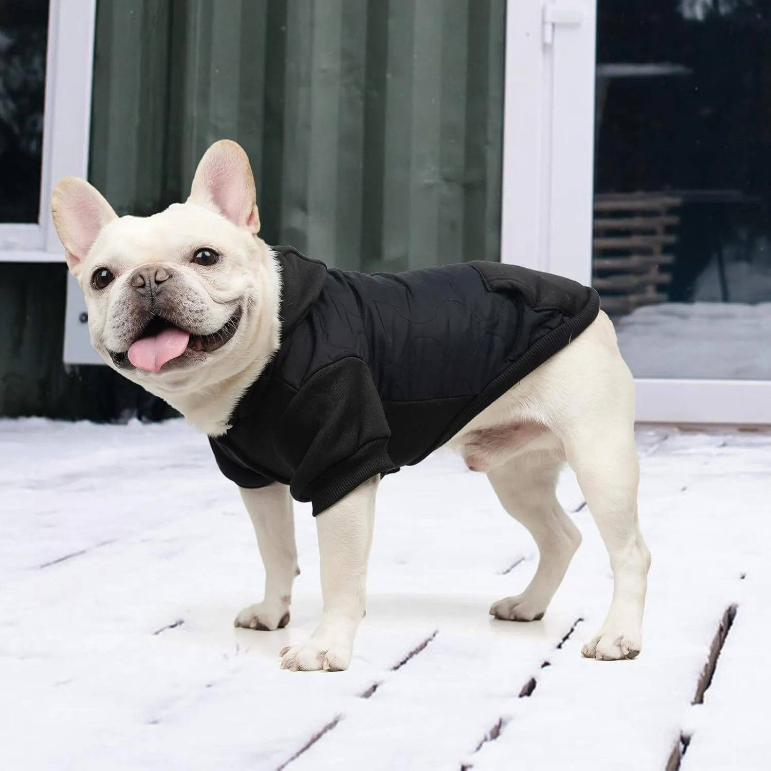 KOOLTAIL Warm Winter Coat for Small Dogs, Waterproof Jacket With Leash Hole, Cold Weather Vest, Soft Pet Hoodie Sweater Clothes for Puppy Cats Girls Boys Black S
