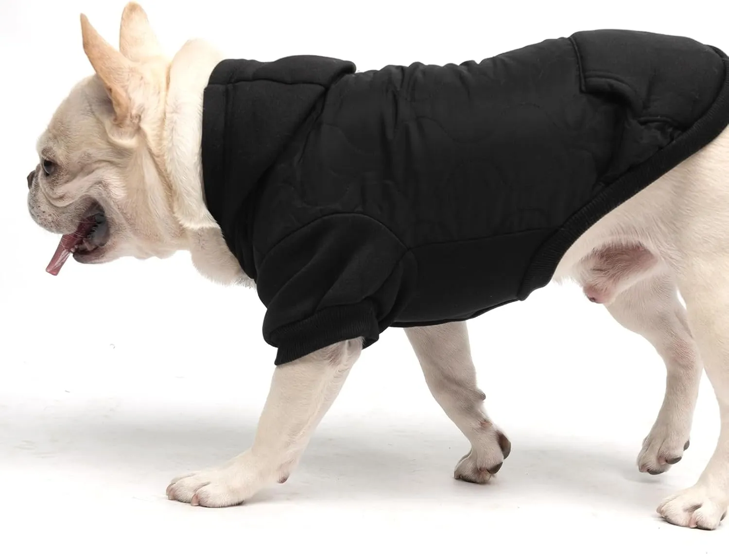 KOOLTAIL Warm Winter Coat for Small Dogs, Waterproof Jacket With Leash Hole, Cold Weather Vest, Soft Pet Hoodie Sweater Clothes for Puppy Cats Girls Boys Black S