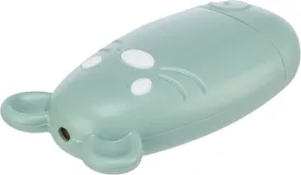 Laser pointer, plastic, USB, 7 cm, sage