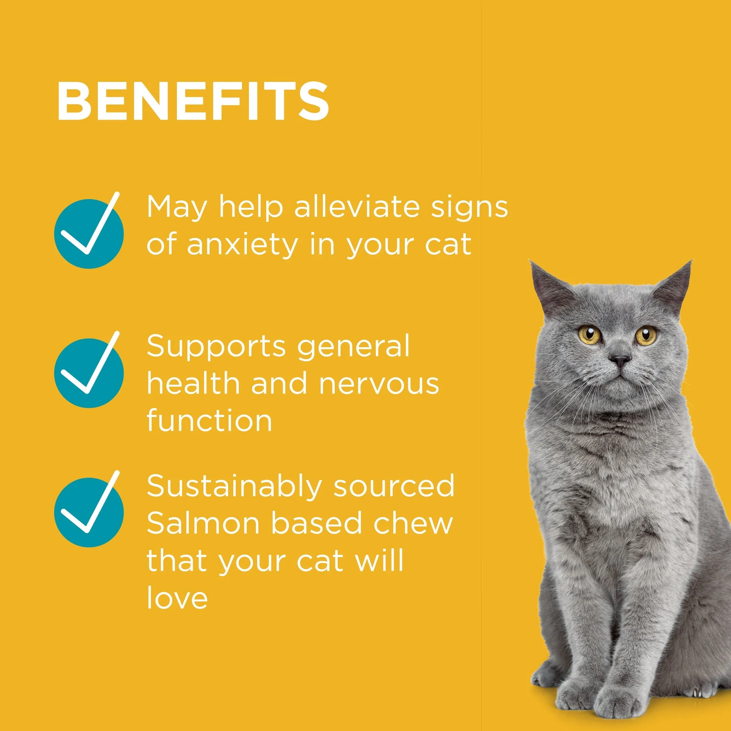 PAW by Blackmores Complete Calm Chews for Cats 75g^^^